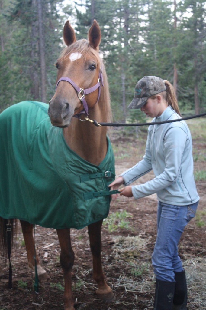 Madison blankets Asali in ride camp, a couple days before the start of Tevis.